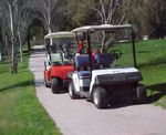 Golfbuggies